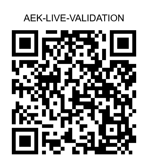Live Validation Plan PayPal QR Code